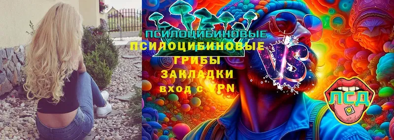 Псилоцибиновые грибы Magic Shrooms  мега зеркало  Старая Русса 